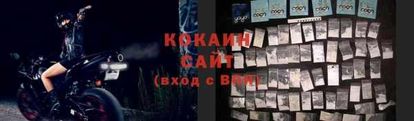 первитин Каменка