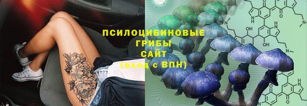 первитин Каменка