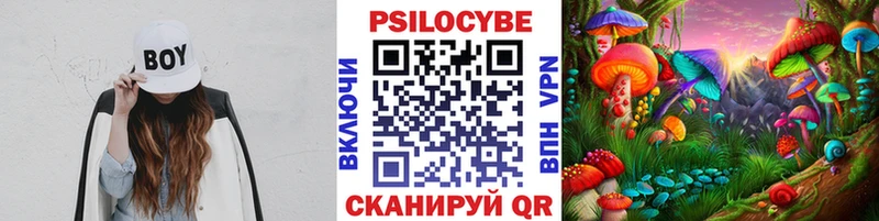 Псилоцибиновые грибы GOLDEN TEACHER  где купить наркоту  Луховицы 