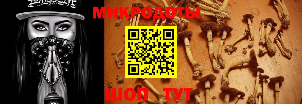 Псилоцибиновые грибы Psilocybine cubensis Луховицы